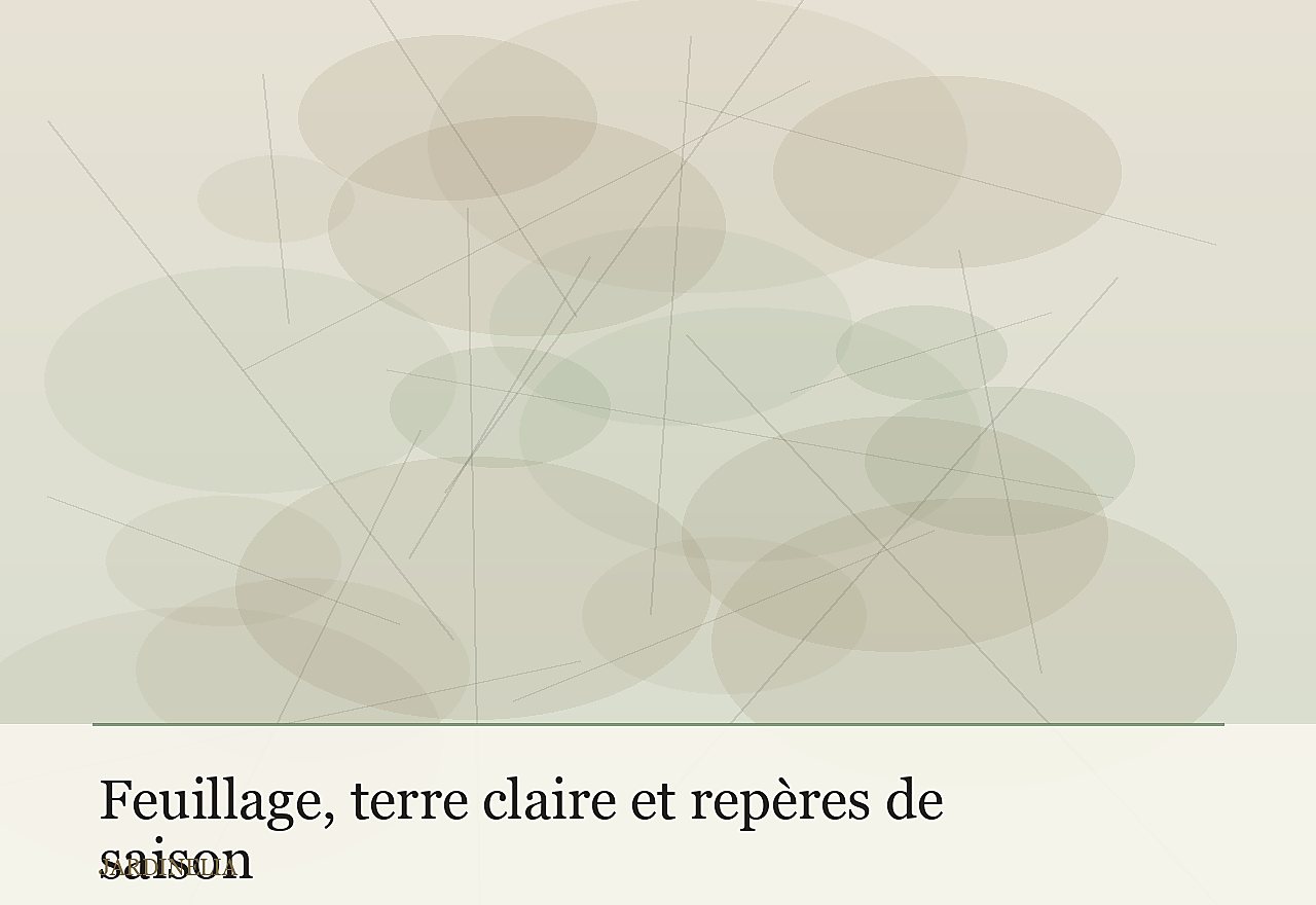 Feuillage, terre claire et repères de saison
